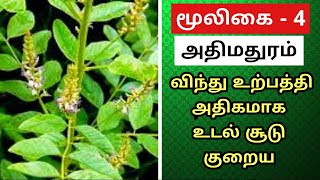 Athimathuram Benefits Tamil  Glycyrrhiza Glabra  Sweet Root  Athimathuram Beauty Tips  அதிமதுரம் [upl. by Duncan753]