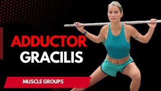 10 Min Adductor Gracilis Workout Deep Muscles [upl. by Bruns266]