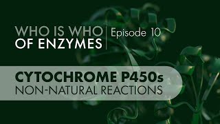 Who Is Who of Enzymes Cytochrome P450 Monooxygenases Nonnatural Reactions [upl. by Almond]