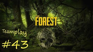 The Forest Teamplay 43 Die Labore des Grauens Lets Play Deutsch HD [upl. by Kincaid]