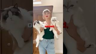 Katy Perry STEALS Taylor Swifts CAT 🤯🐈 [upl. by Andel]