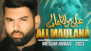 ALI MAULANA ALI  Mesum Abbas  Nohay 2023  Muharram 1445 [upl. by Kimber416]