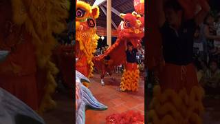 MIDAUTUMN LION DANCE liondance [upl. by Gusba]