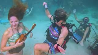 Florida Keys Underwater Music Festival 2024 [upl. by Leva275]