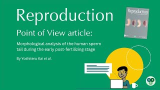 Reproduction Morphological analysis of human sperm tail during the early postfertilization stage [upl. by Vincent]