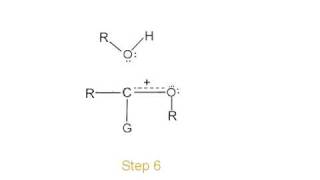 Mechanism of acetal ketal formation [upl. by Shawnee966]