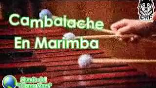 MÚSICA en MARIMBA quotcambalachequot [upl. by Emilie436]