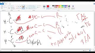 L52 Introduction to Lipids [upl. by Neisa]