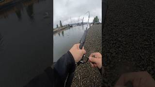 Drano Lake Salmon fishing fishing salmon alumaweld bradssuperbait [upl. by Goldwin]