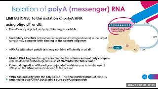 nucleic acid extraction methods part 2 [upl. by Adon]