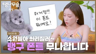 공지 태연 손글씨 폰트 무료 나눔의 건  TAEYEON 태연 탱나무숲 EP07 폰트 [upl. by Adiene]