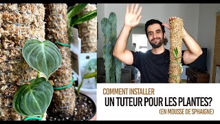 Comment installer un tuteur en mousse de sphaigne  TRÈS FACILE pour nos plantes grimpantes  PT2 [upl. by Alyacim]