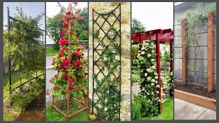 trellis ideas for vegetable garden  outdoor trellis ideas [upl. by Lhadnek266]