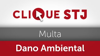 Multa administrativa por dano ambiental não é transmitida a herdeiros [upl. by Ekoorb]