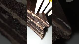 Chocolatey Chocolate Cake  foodvlog amp ASMR [upl. by Anneres]