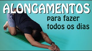 6 ALONGAMENTOS SIMPLES p fazer diariamente  Mais flexibilidade e menos intolerância ao estiramento [upl. by Dorcea]