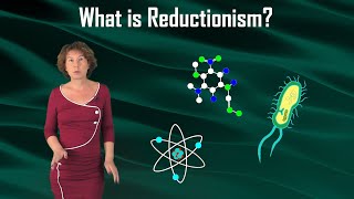 What is Reductionism [upl. by Inahs]