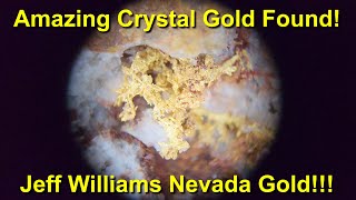 Amazing Crystalline Gold Found In Nevada From Jeff Williams Gold Mine [upl. by Colyer]