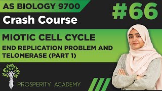 End Replication Problem and Telomerase Part 1  Mitotic Cell Cycle  9700 AS Biology UrduHindi [upl. by Lleroj]