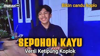 REQUES LAGU SEPOHON KAYU  VERSI KETIPUNG [upl. by Annuahs539]