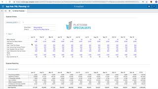 Anaplan Model Minute Driver Based Planning [upl. by Iluj]