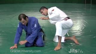 Ryron and Rener Gracie Special Techniques and BJJ History [upl. by Reilamag509]