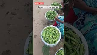 💥🍆🌱 காய்கறி மார்க்கெட் காய்கறி வியாபாரம் 🍆🌱💥 hanbuinfo5184 [upl. by December]