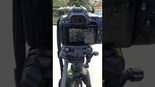 Canon 200D mark ii ka video quality 🔥🔥 live view ✌️ shorts [upl. by Etteniuqna332]