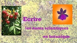 Écrire les noms scientifiques en botanique [upl. by Nivrek]