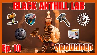 Black Anthill Lab Full Guide  Grounded [upl. by Ruenhcs]