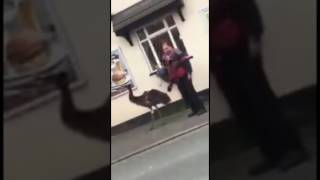 MAN WALKS HIS EMU DOWN THE STREET [upl. by Akinimod]