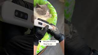 Pet paw trimmer petpet cat catlover catcare catpaw [upl. by Hunley602]