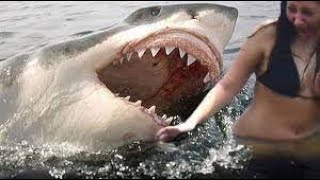 Trailer Park Shark 2017 Full movie in hindi  Lulu Jovovich Clint James Kallaway Swayze [upl. by Nannaihr336]