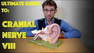 Cranial Nerve VIII  The Vestibulocochlear Nerve  Ultimate Guide to Cranial Nerve Examination [upl. by Barclay257]