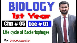 Life cycle of Bacteriophages  Chapter 5  1st year Biology  Lec  7 [upl. by Deyas]