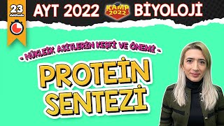 Protein Sentezi  AYT Biyoloji Kamp2022 [upl. by Fanchan]