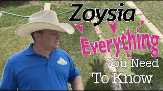 Everything You Need To Know About Zoysia Grass [upl. by Afrika785]