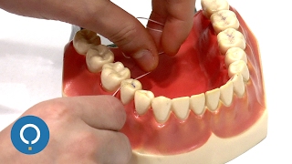 Como usar o fio dental corretamente [upl. by Nahamas]