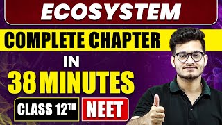 Ecosystem in 38 Minutes  Full Chapter Revision  Class 12th NEET [upl. by Initof7]