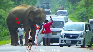 Wild Elephant Attack To Van And Brak The Door Passenger In Fear [upl. by Den]