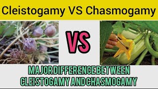 Major Difference between cleistogamy and Chasmogamy  neet cbse [upl. by Eanwahs]