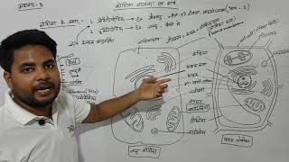 अध्याय8 कोशिका संरचना एवं कार्य भाग 2 कक्षा 11 जीवविज्ञान  chapter 8 cell structure [upl. by Rengia]