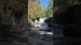 Alsea Falls near Monroe Oregon oregonwaterfalls waterfall [upl. by Nanor]