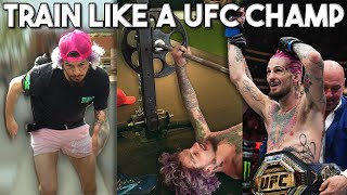 Suga Sean Fight Camp Vlog  6 WEEKS OUT VS MARLON CHITO VERA UFC 299 [upl. by Seira468]