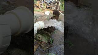 2Hp submersible water pressure borewell Chhattisgarh shorts Chhattisgarh viral [upl. by Ro94]