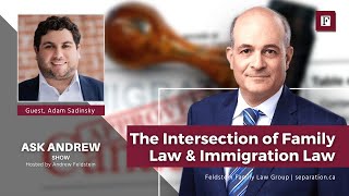 The Intersection of Family Law and Immigration Law  AskAndrew [upl. by Jervis]