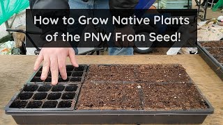 How to Propagate Native Plants of the PNW From Seed [upl. by Adnofal437]