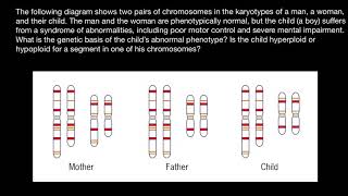 Reciprocal translocation explained [upl. by Eanahc]