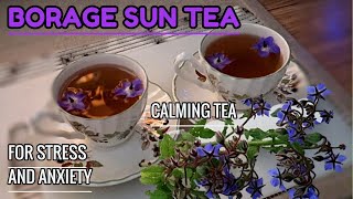 No boil  How to Make an EASY BORAGE SUN TEA LOADED WITH HEALTH BENEFITS  TeaTime [upl. by Larred]