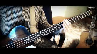 OneRepublic  Counting Stars  Bass Cover [upl. by Tresa511]